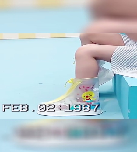 紹介動画