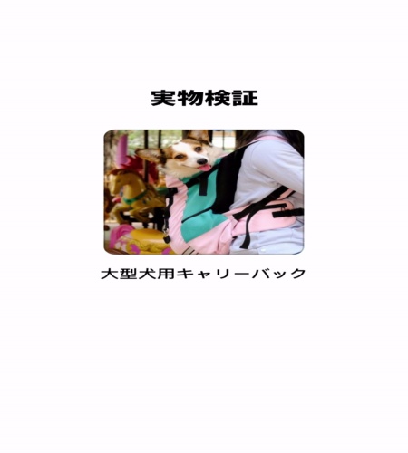 使ってみた！