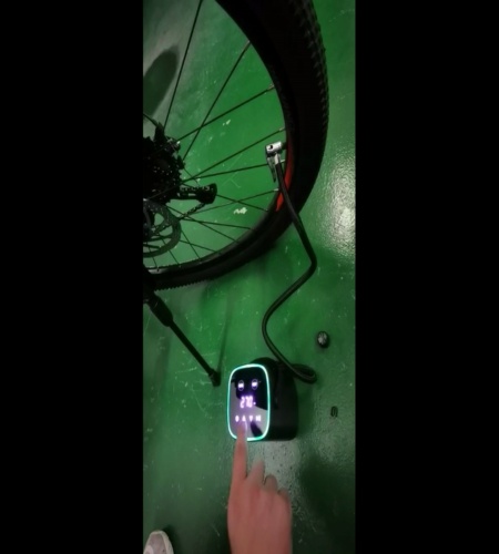 実物検証