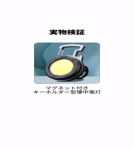 実物検証