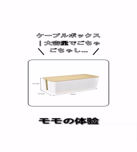 実物検証