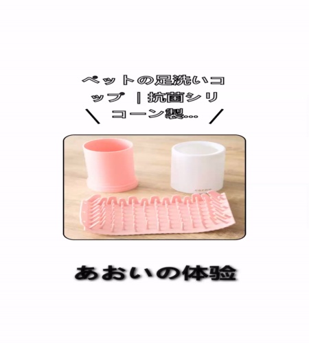 実物検証
