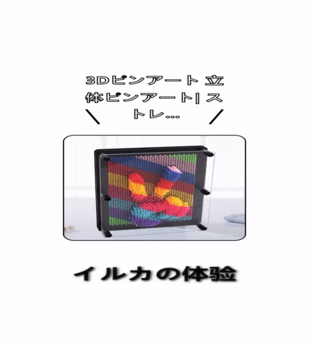 実物検証