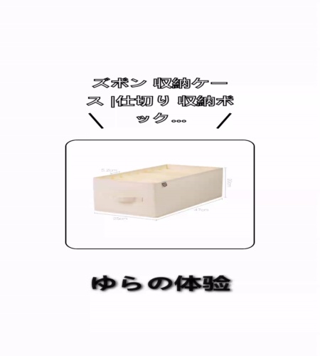実物検証