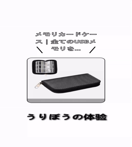 実物検証