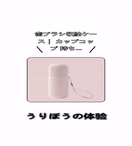 実物検証