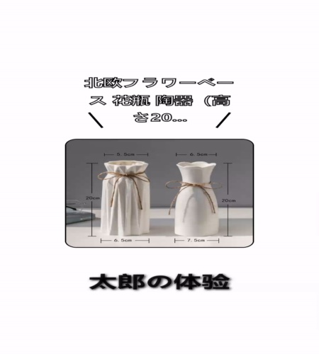 実物検証