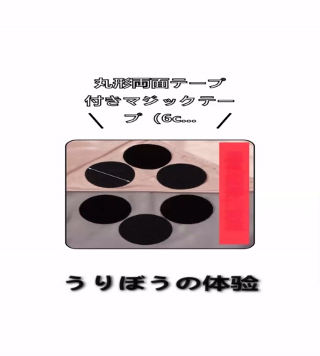 実物検証