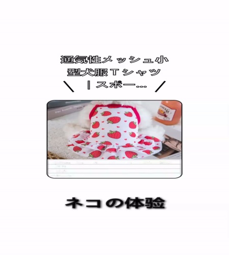 実物検証