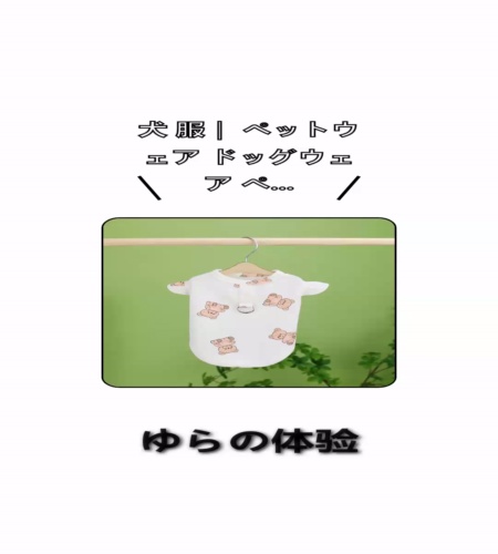 実物検証