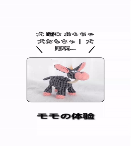 実物検証